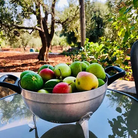 La Casedda Del Nonno Cavamonti Ostuni