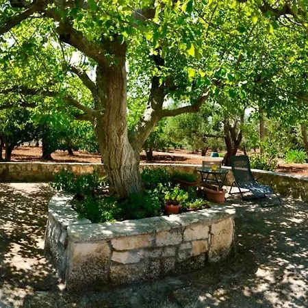 Tatil Evi La Casedda Del Nonno Cavamonti Ostuni
